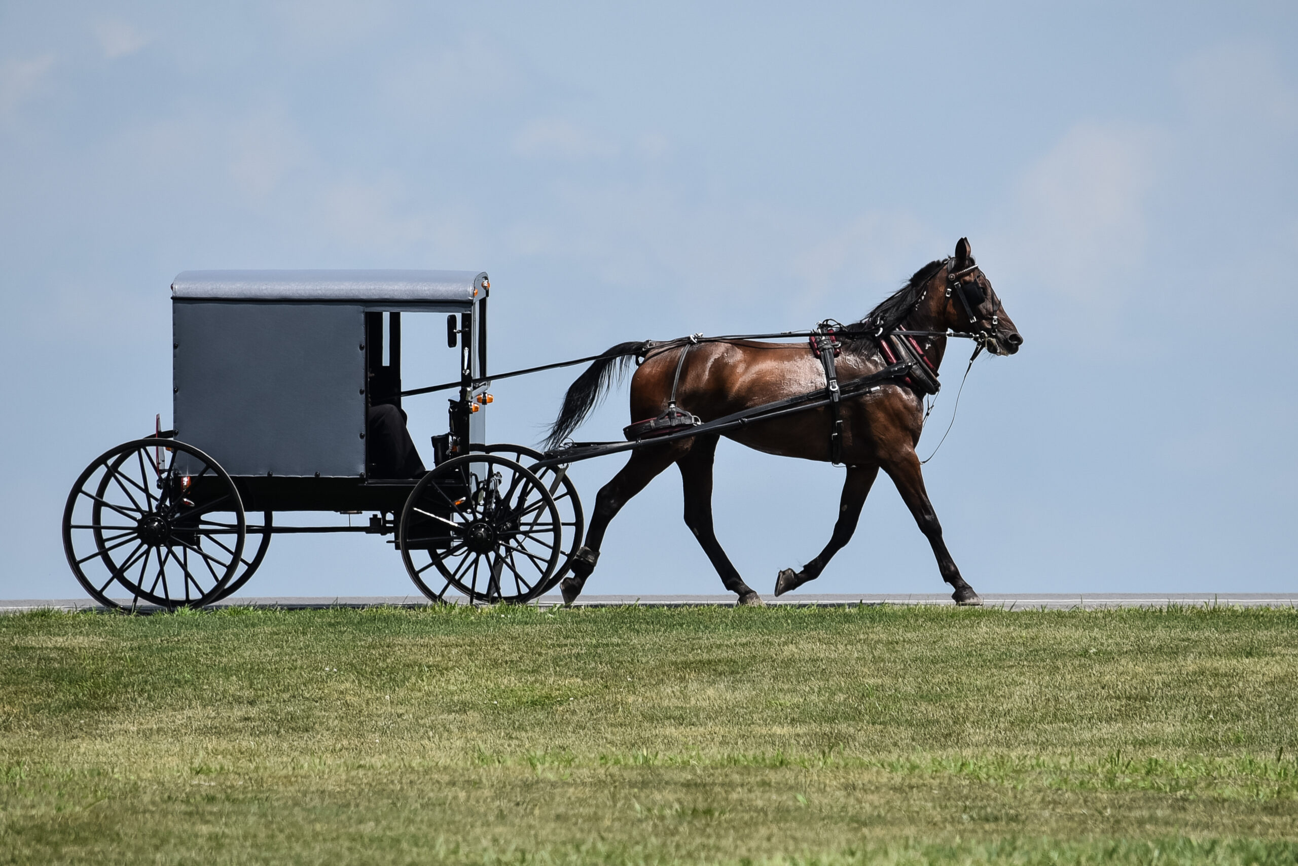 Amish Teen Killed in U.S. 35 Buggy Crash