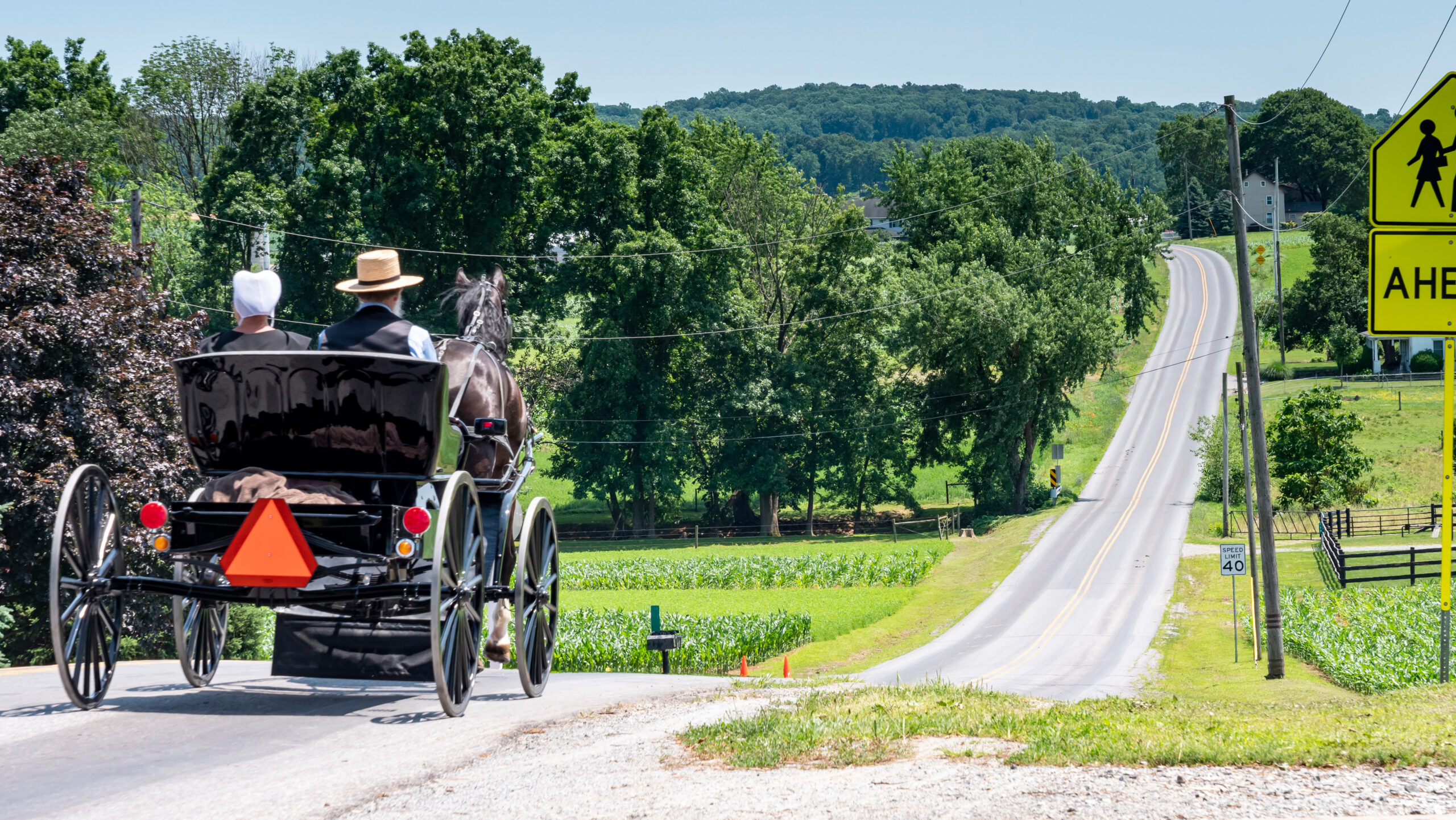 Three Safety Tips for Sharing the Road with Horse Drawn Buggies