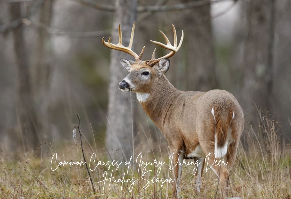 4 Most Common Causes of Injury During Indiana Deer Hunting Season