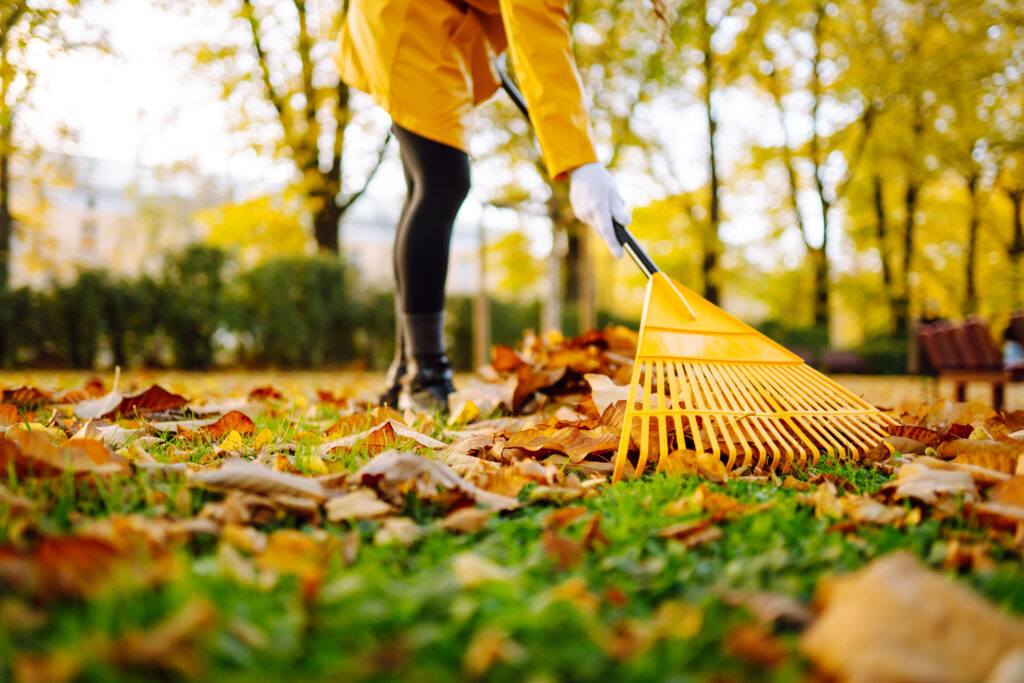 Property Owners Must Take Care of Fallen Leaves on Walking Surfaces or Risk Liability - Featured Image