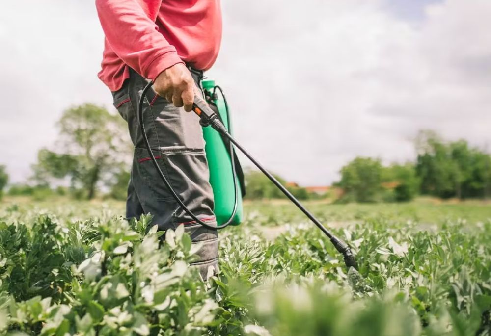 Understanding the Roundup Mass Tort - Featured Image