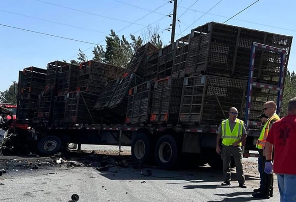 How Often Do Truck Crash Claims Go to Trial? - Featured Image